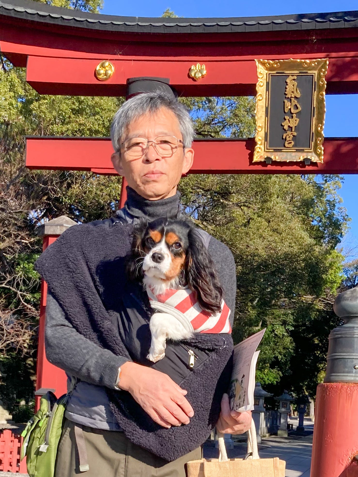 わんちゃんが軽く感じられた