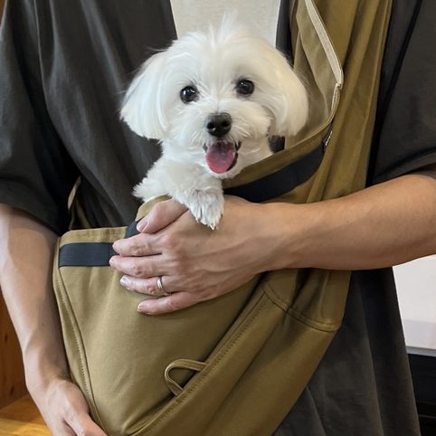 すんなりと慣れてくれました