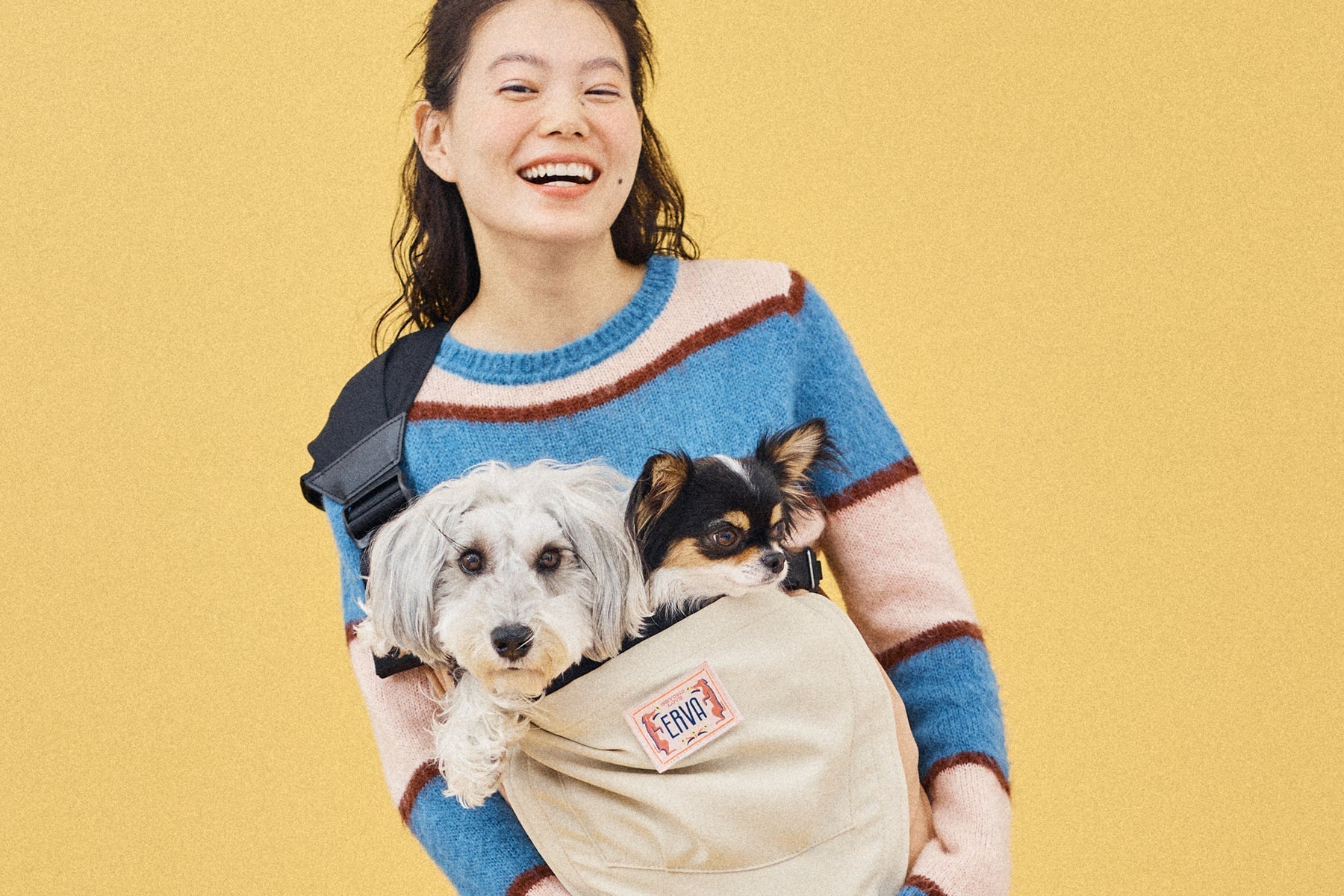 専門家が回答！犬にスリングは良くない？正しく選ぶ＆使うポイントも解説