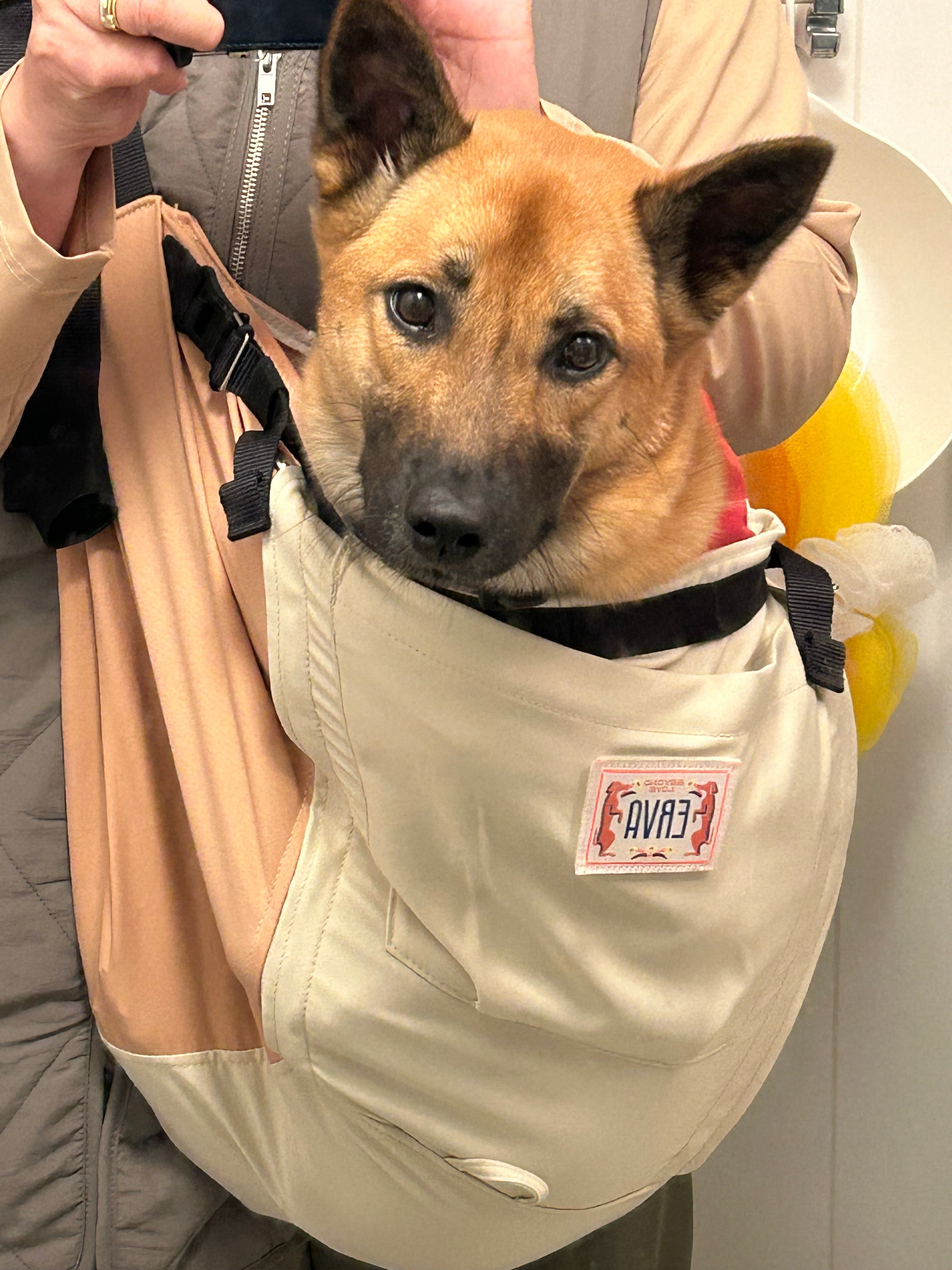 からだが密着する事で安心した様子