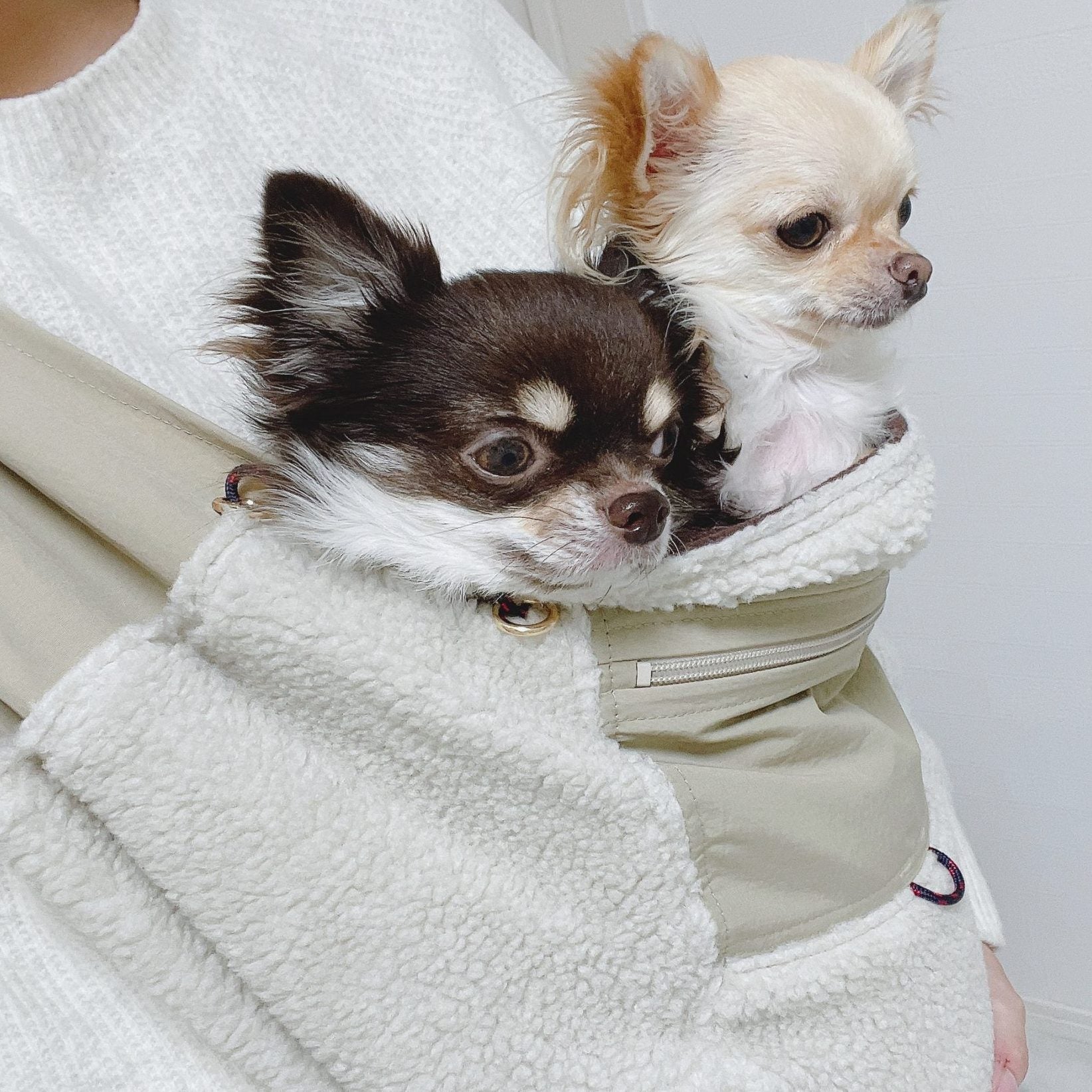 冬用のスリングが欲しいなと思っていたところ