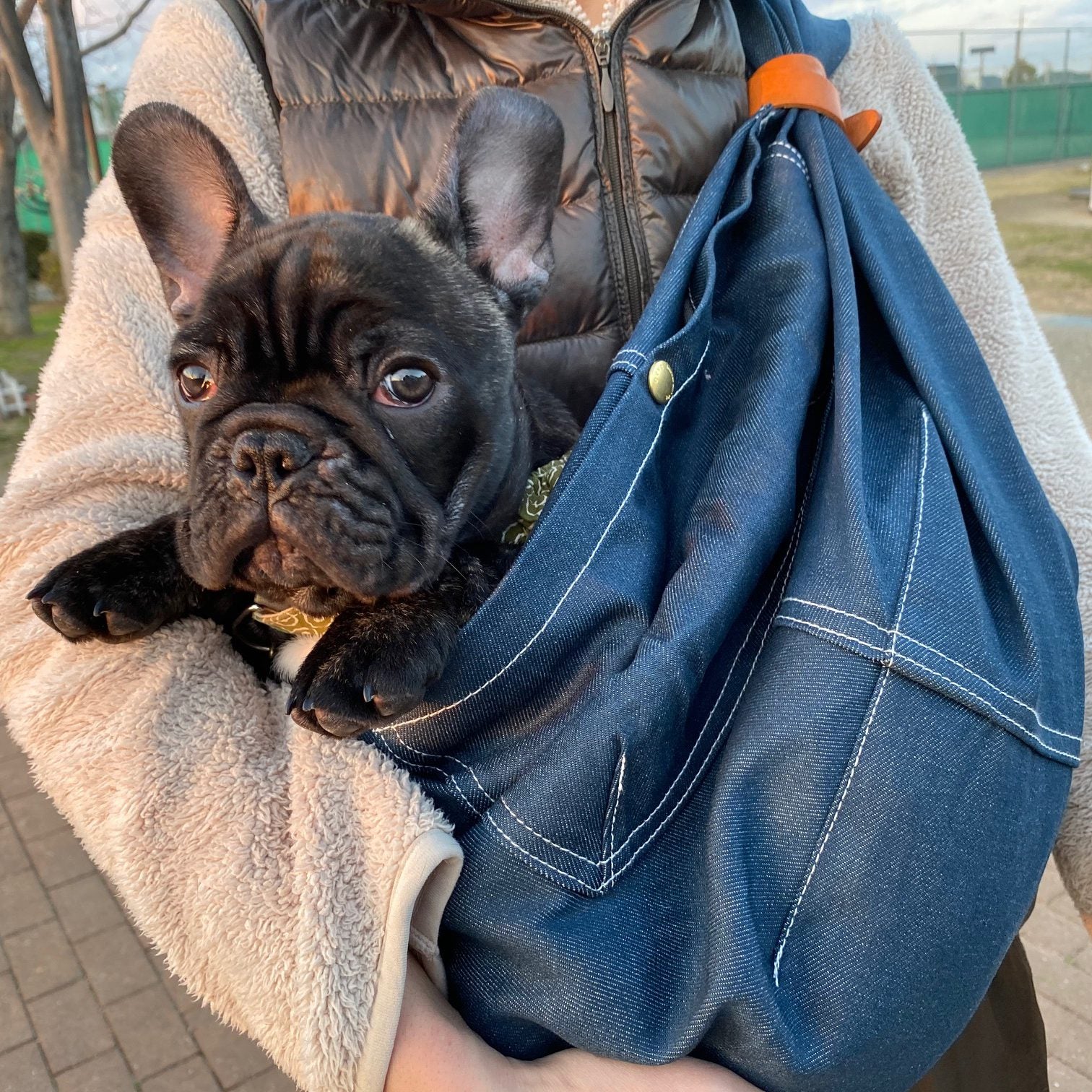 公園デビュー
