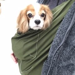お互いストレスフリー