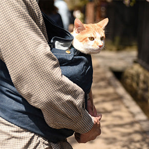 思った通りで気に入っています