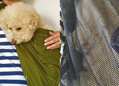 ワンコも私も大満足です。