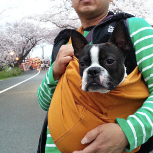 活躍しております。