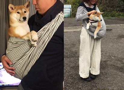 嫌がることなくすっぽり落ち着きました。