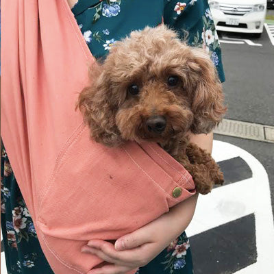 大人しく入ってます