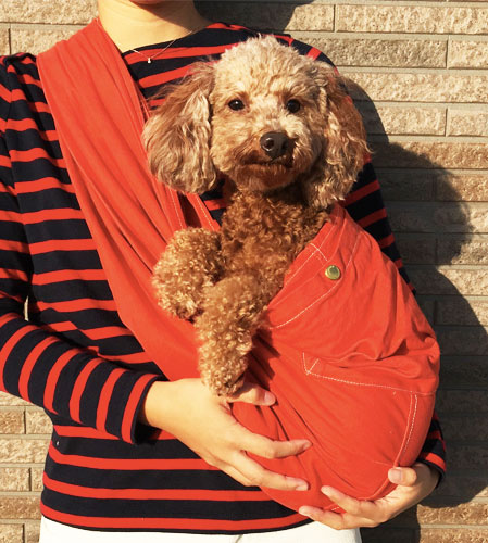 スッポリと入った瞬間気に入ってくれました。