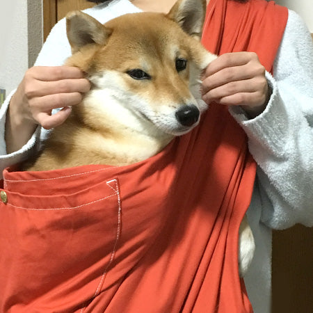わんこも心地良さそう