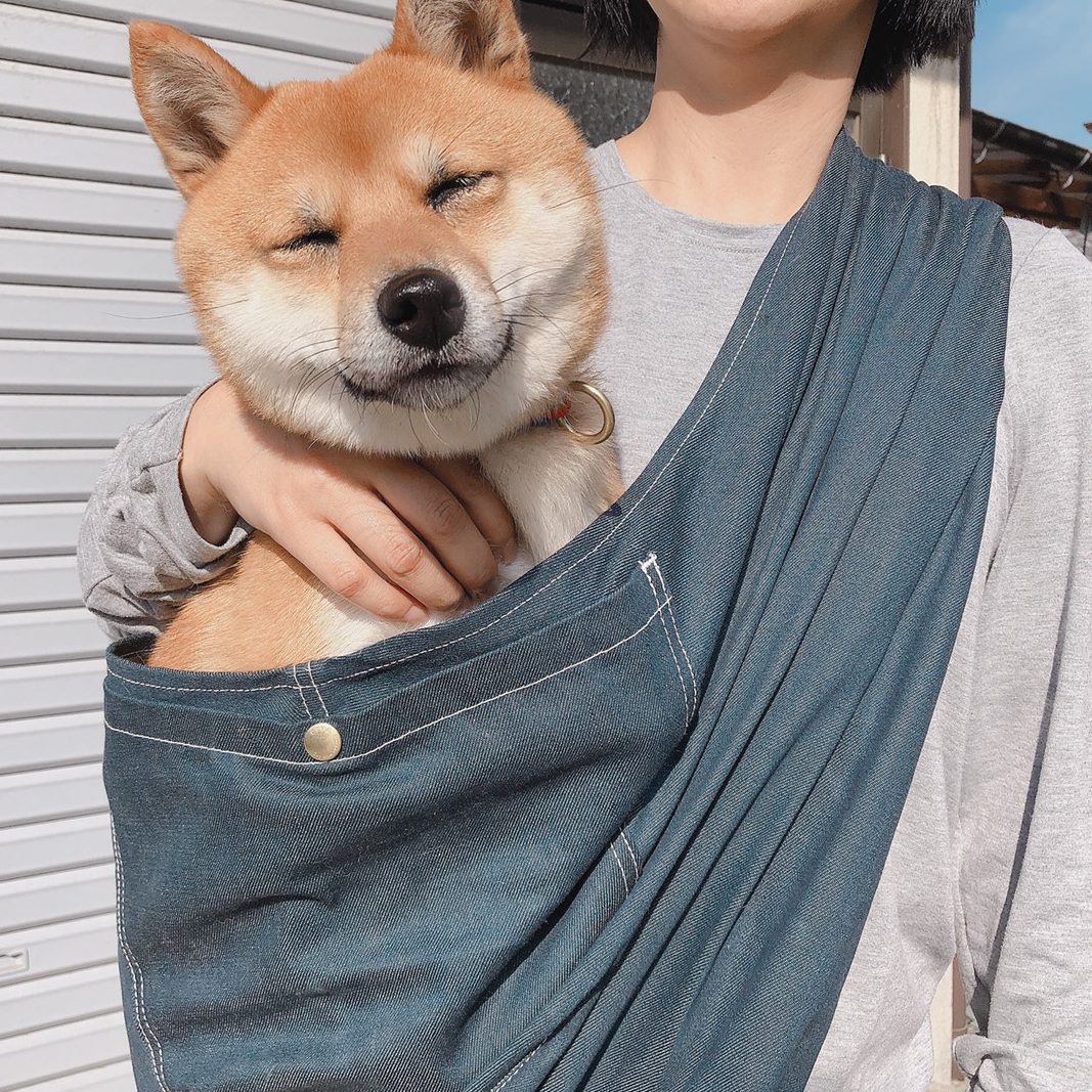ここのスリングにであえて良かった