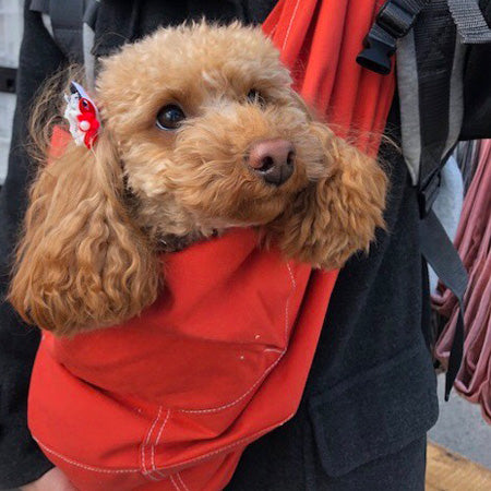 お買い物をしても両手が使えます