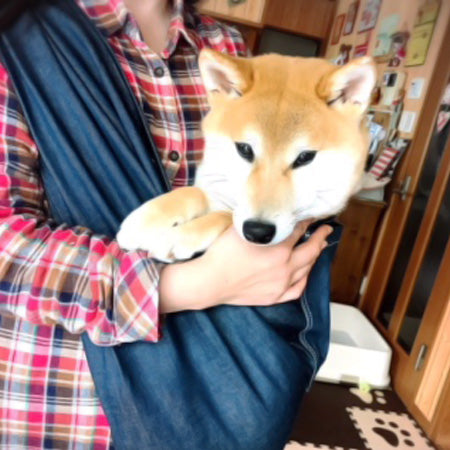 納得して使えるお品