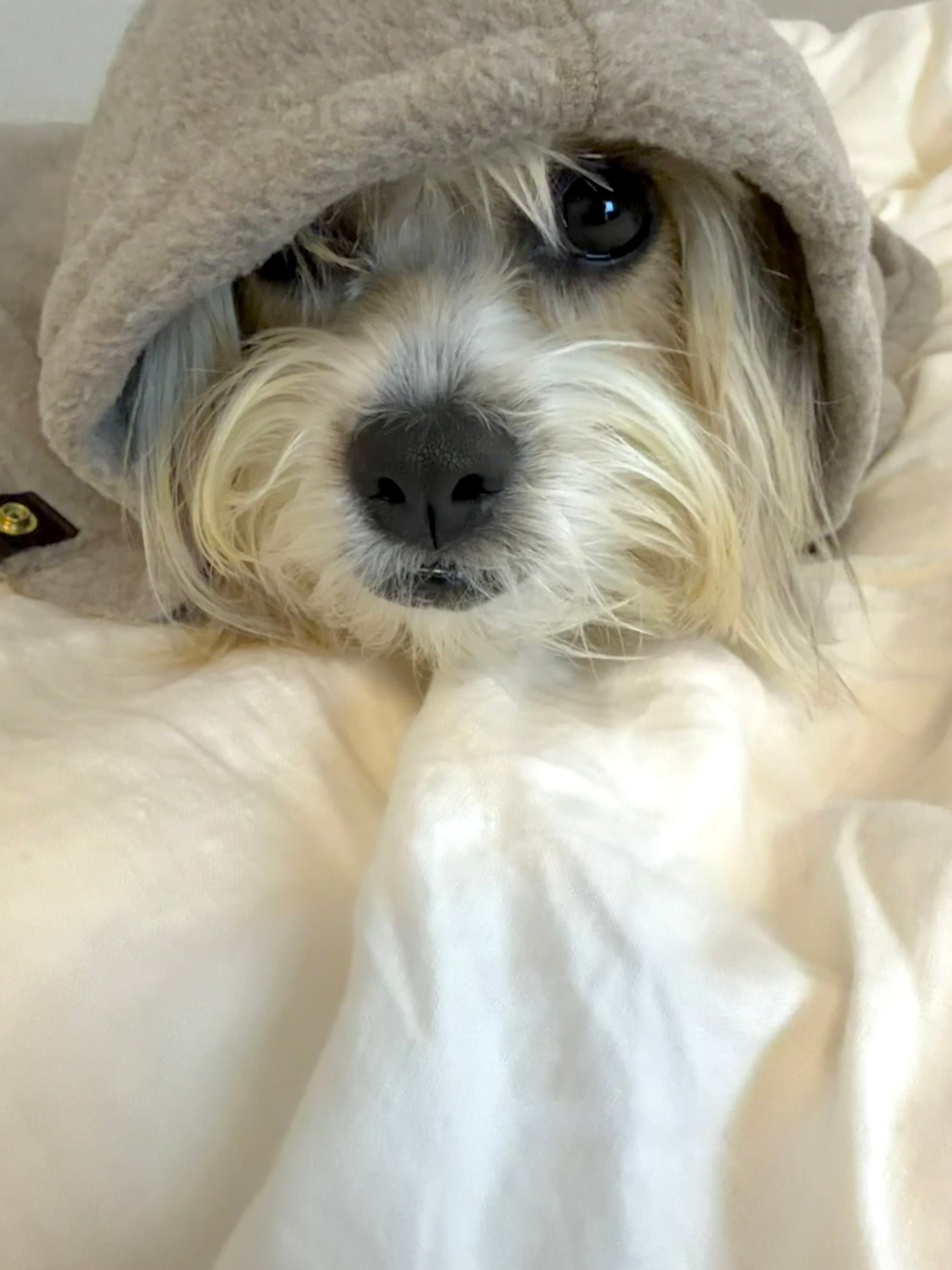 どこでもサッとかけてあげられる