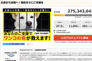 今年分はあと4日で終了！超簡単５分でできる、ふるさと納税でわんこを助けることができます！