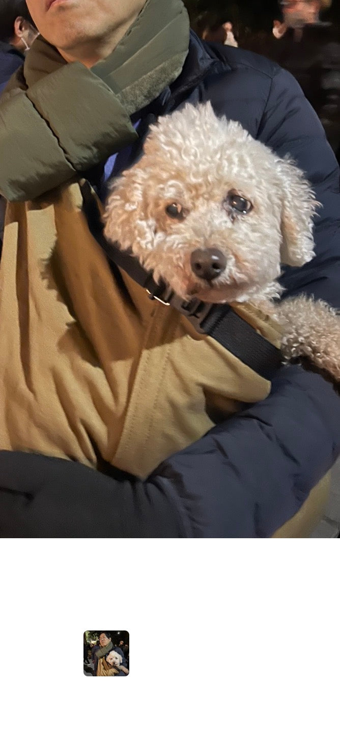 犬種/体重別のご感想 | ドッグスリング・犬の抱っこ紐専門ブランド