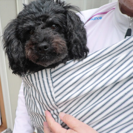 わんこもゆったり入れて満足