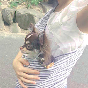 散歩が苦手なので、お出かけする際に助かっています