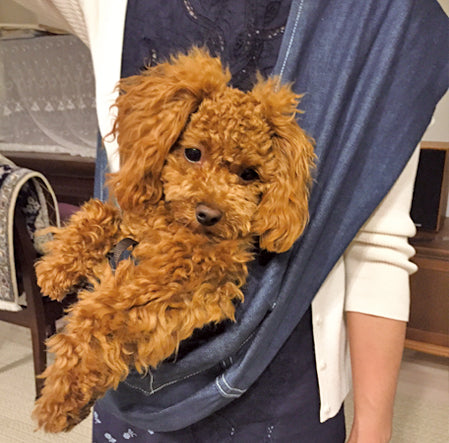 スリングを見るだけで興奮