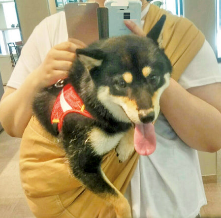 一緒にお出かけもしやすくなりました！