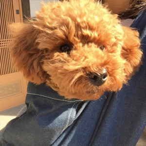 自分からスルリと入って来ます 笑