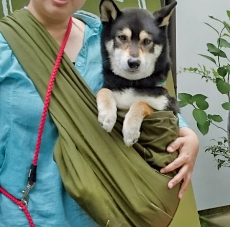 うとうとしながら大人しくしてました