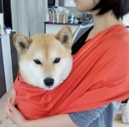 大人しくしてました