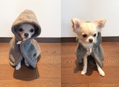 こういう物を待っていました