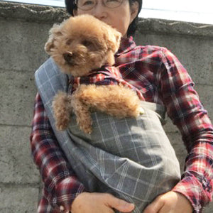 ウトウトします