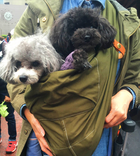 急な雨の時にすごく便利
