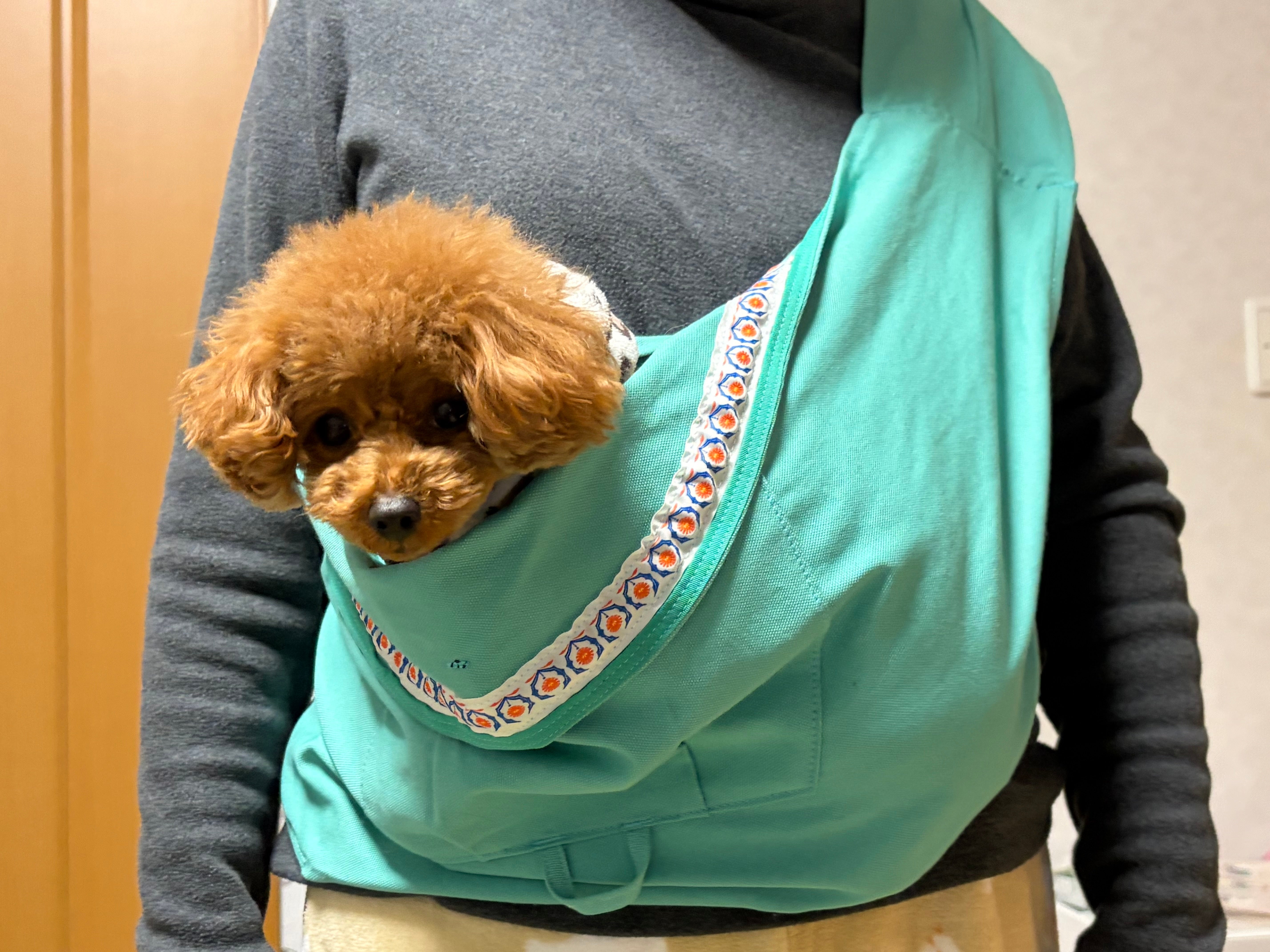 犬種/体重別のご感想 | ドッグスリング・犬の抱っこ紐専門ブランド