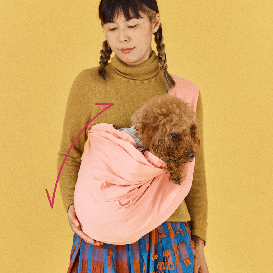 犬用抱っこ紐に愛犬を入れる際は、背中を垂直にしない。