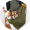 <p>小型犬2頭</p>