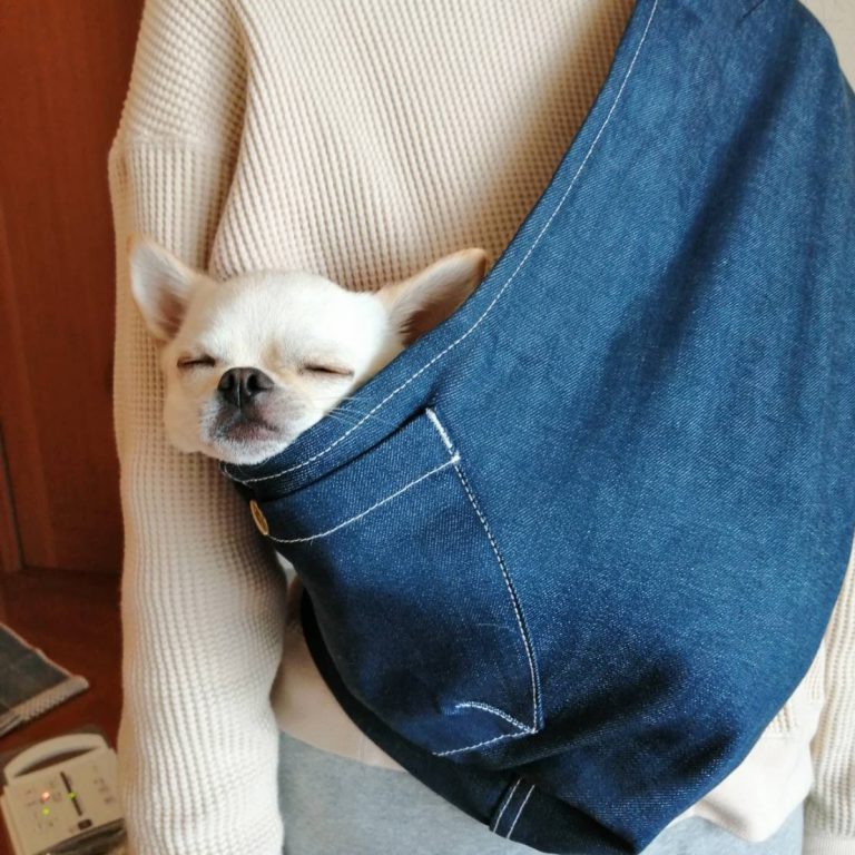 むーちちゃん