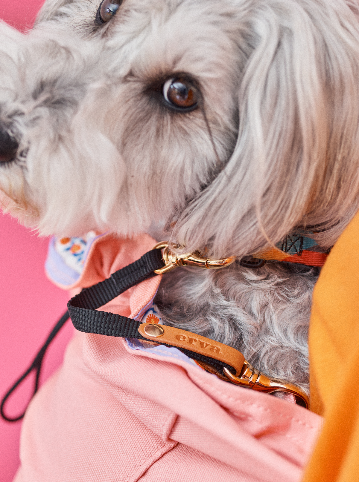 飛び出し防止用ストラップ 1-15kg対応 │ ドッグスリング・犬の抱っこ