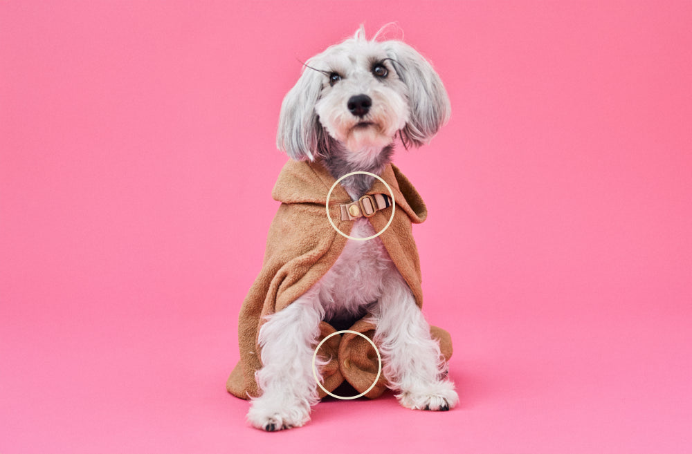 ブランケットはボタンが2つついています