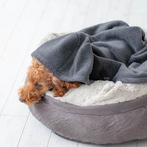 シニア犬の体温調節にもブランケット
