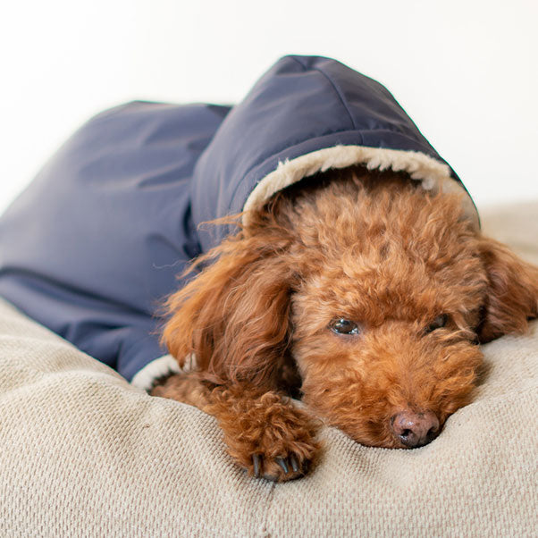 erva ボア•スリングブランケット サイズS ネイビー 愛犬の防寒はボアブランケット │ ドッグスリング・犬の抱っこ紐専門