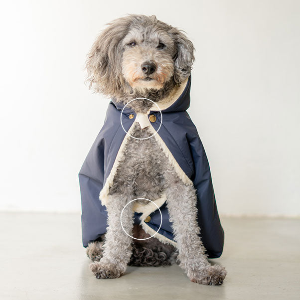 愛犬の防寒はボアブランケット │ ドッグスリング・犬の抱っこ紐専門