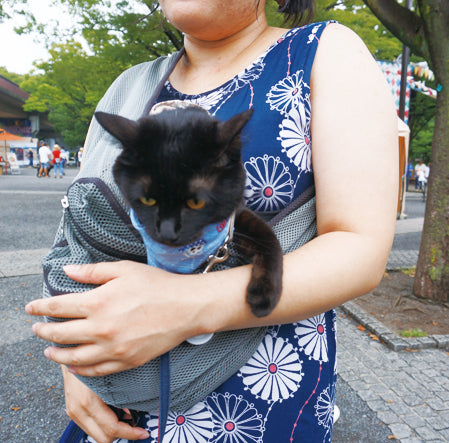 ぽぽちゃん