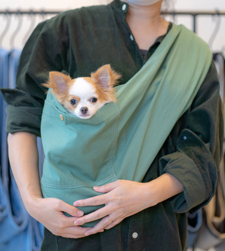 ランちゃん