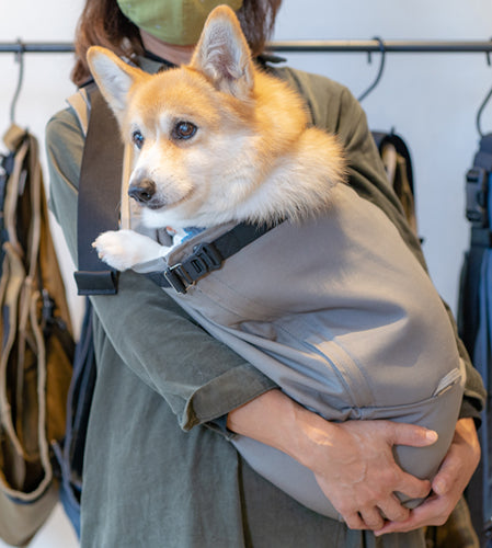 Piraちゃん
