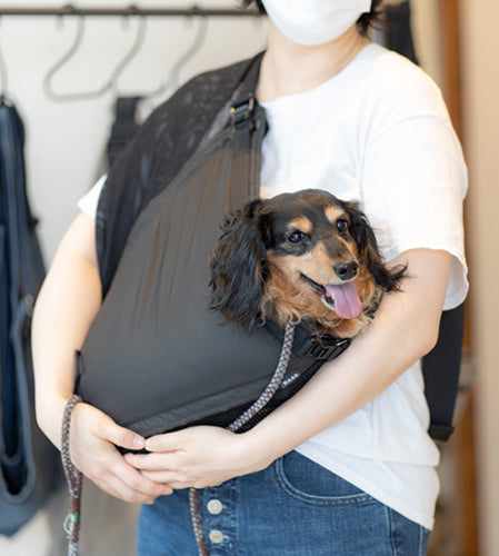ハックちゃん
