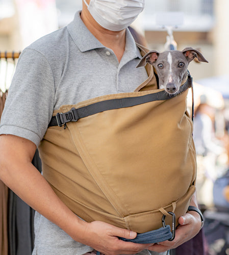 オリーブちゃん