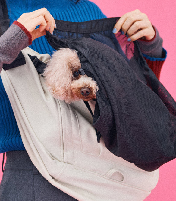 パニックになりやすい子も、犬用抱っこ紐につけるタイプのメッシュカバーは使いやすくて心の安心になります