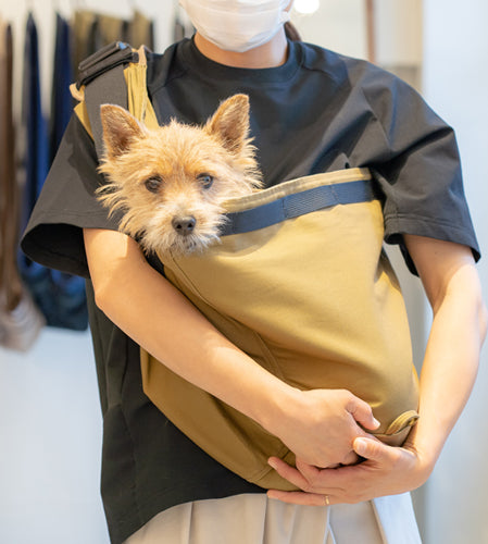 デリちゃん