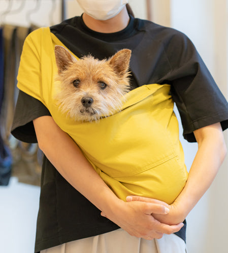 デリちゃん