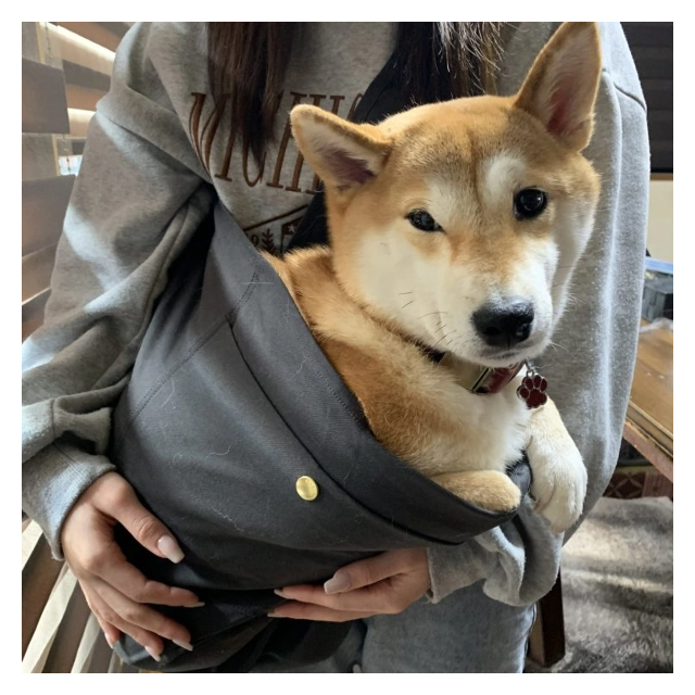 ココちゃん