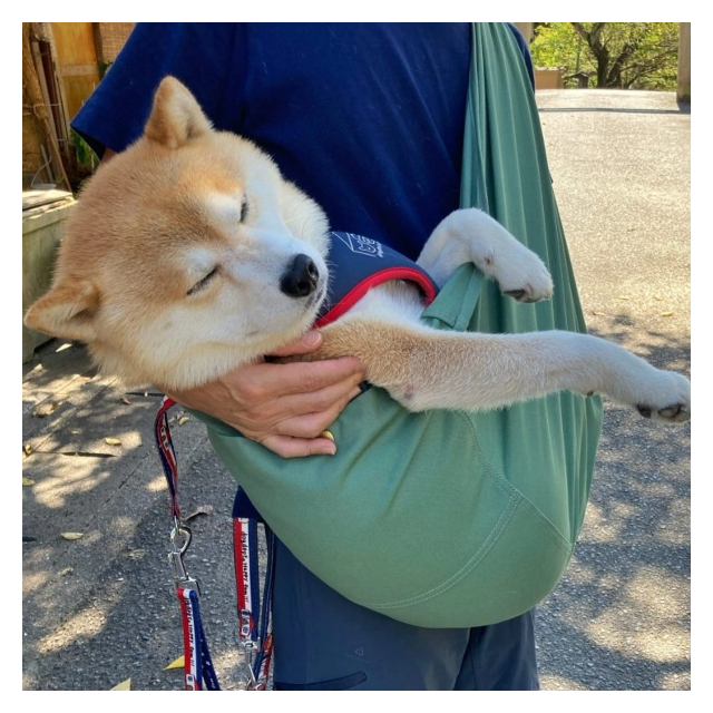 ケンちゃん