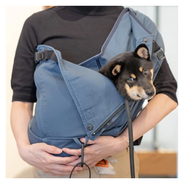 ぼのちゃん